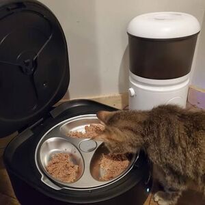 NEW. STEEL BOWL. PETLIBRO POLAR CAT SMALL PET SMART FEEDER WET FOOD REFRIGERATED